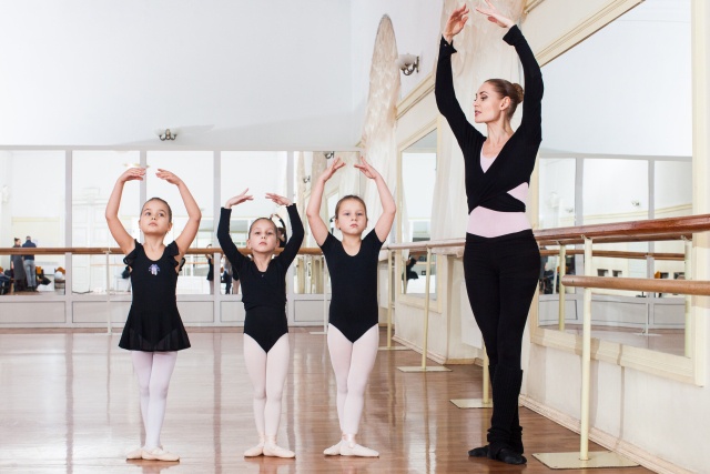 主要カンパニーの系譜と特徴を比較する